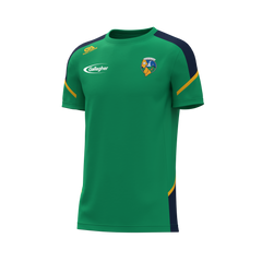 Leitrim GAA Revive Kids Tee